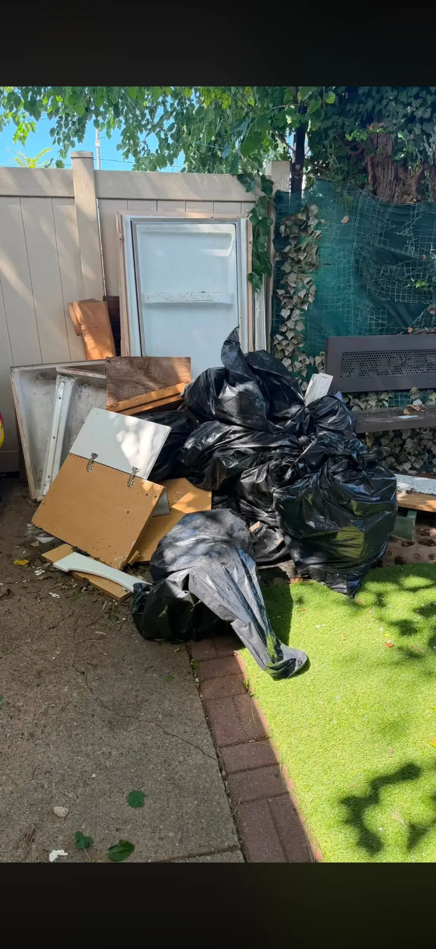 Backyard Junk Removal before cleaning