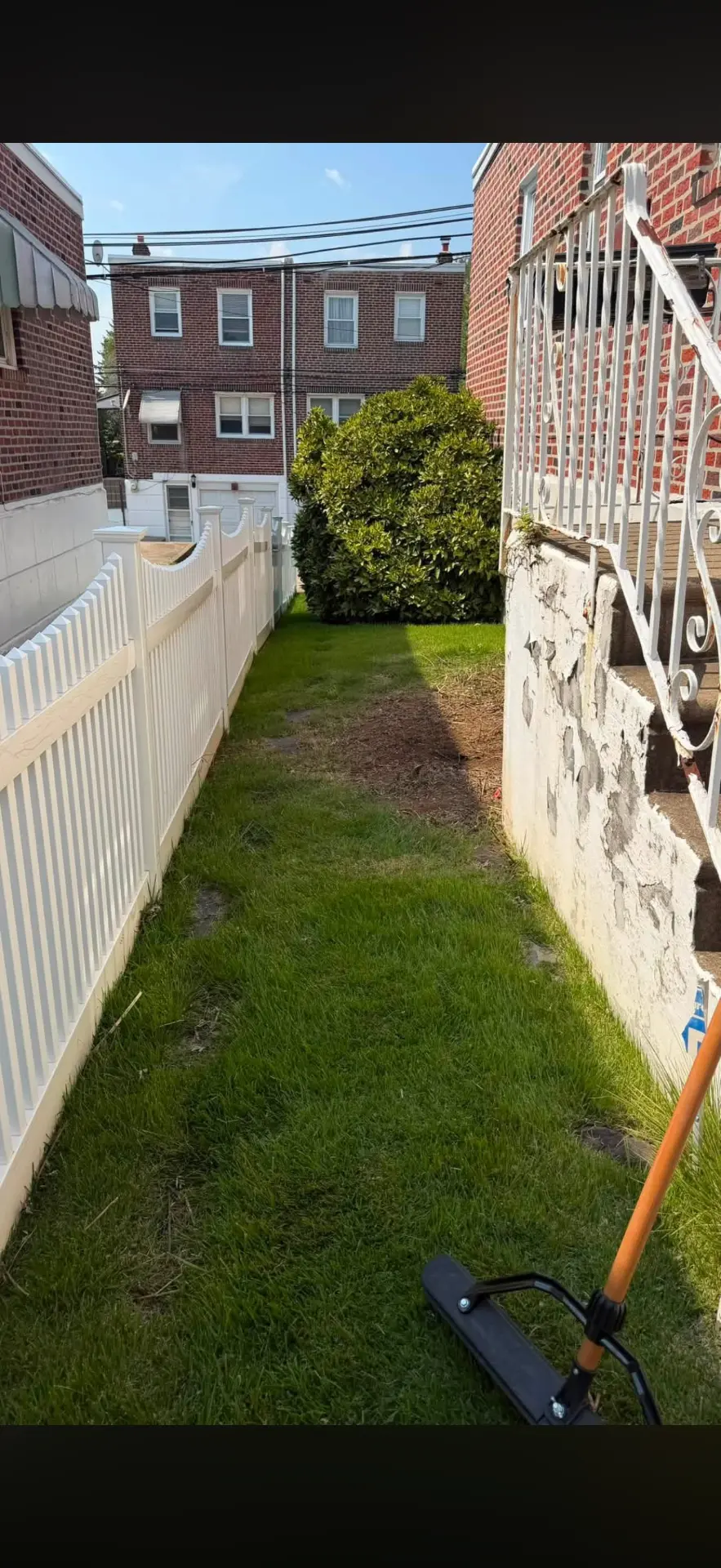 Overgrowth & Yard Cleanup after professional cleaning